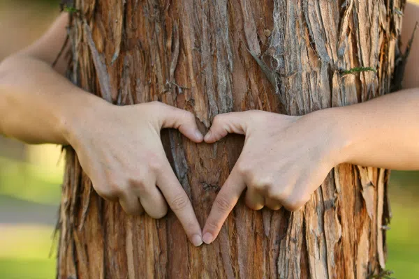 Brown County State Park