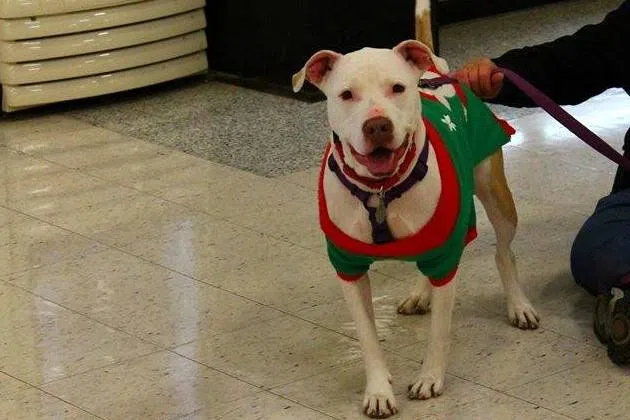 Photo By TAPS Pekin IL