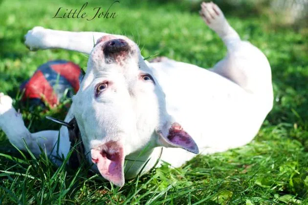 Photo by TAPS Pekin, IL