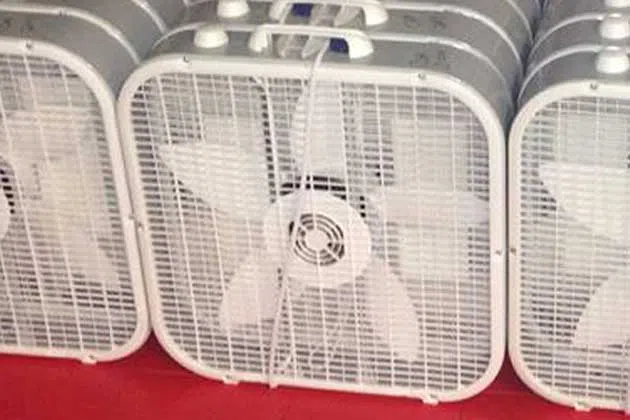 fans