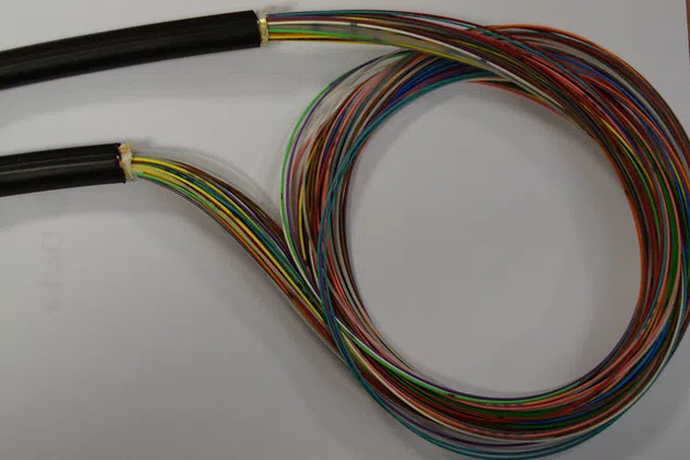 Cable