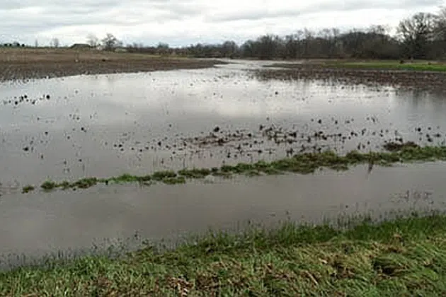 Illinois Department of Natural Resources urges safe waterway activity. (WJBC archive photo)