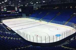 Grossinger Motors Arena