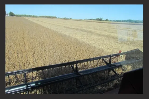 Harvest