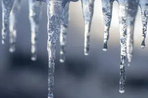 icicles