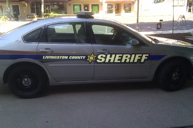 Livingston sheriff