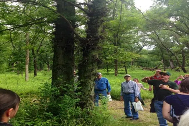 ParkLands Foundation