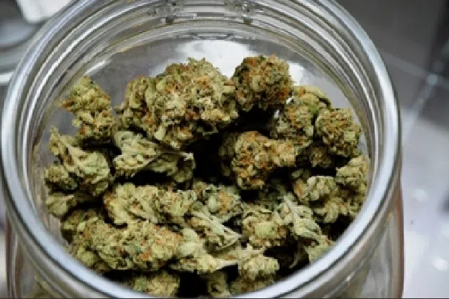 pot