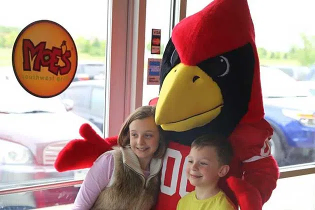 Reggie Redbird