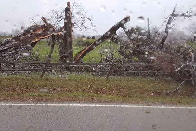 Storm damage