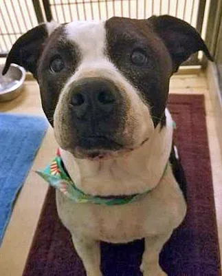 197567c5-e744-4dce-b73f-69c7d5484887