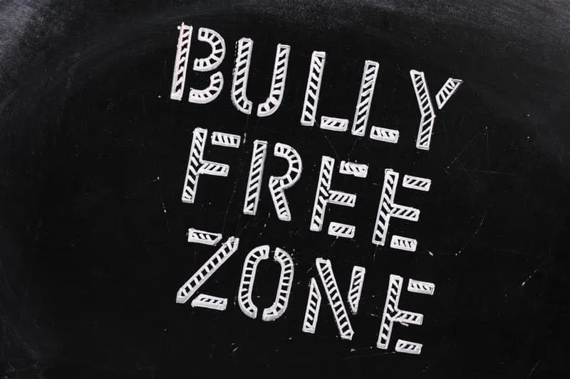 Bull Free Zone