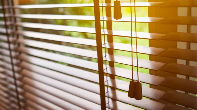 The Inside Outside Guys ~ See the Light with the Right Windows and Coverings