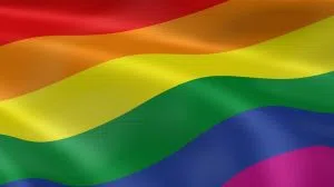 Gay flag