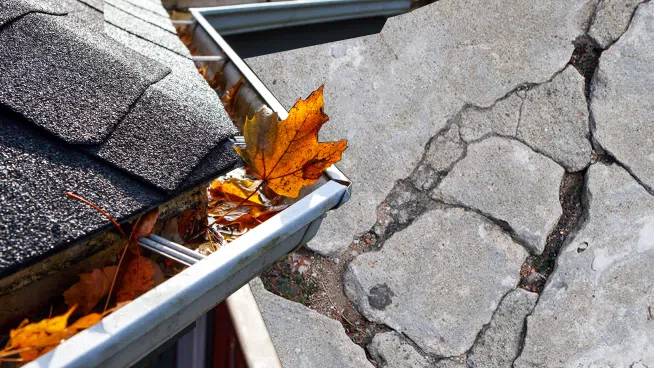 The Inside Outside Guys ~ Put Gutters and Concrete Cracks on Your To-Do List