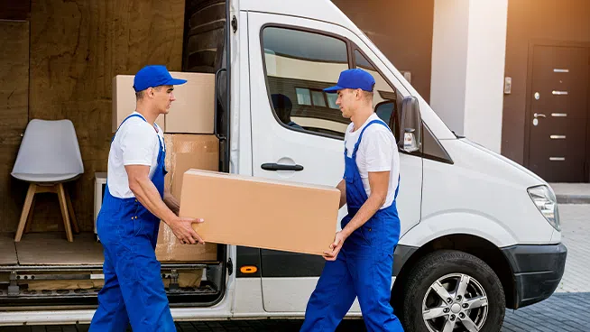 The Inside Outside Guys: Understanding professional service companies