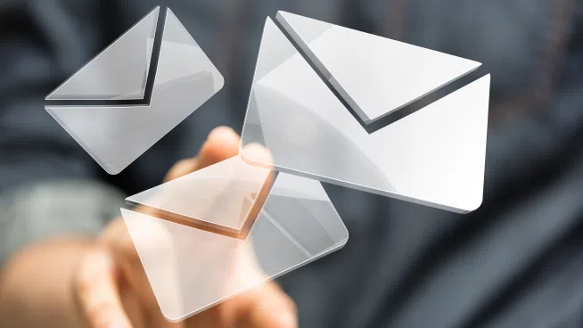 The Inside Outside Guys ~ Phantom Flushes, Birds Seeking Roughage, and More!