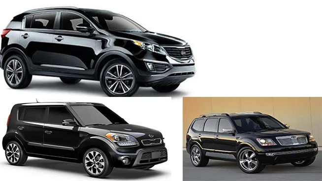 The children are sure that it was a KIA SUV but were not sure of the model.