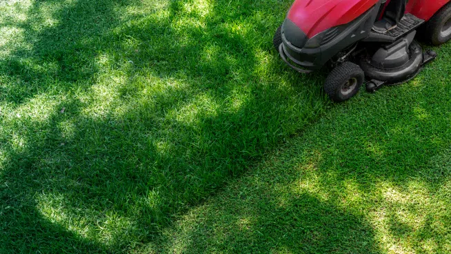 The Inside Outside Guys ~ Spring Lawn Care
