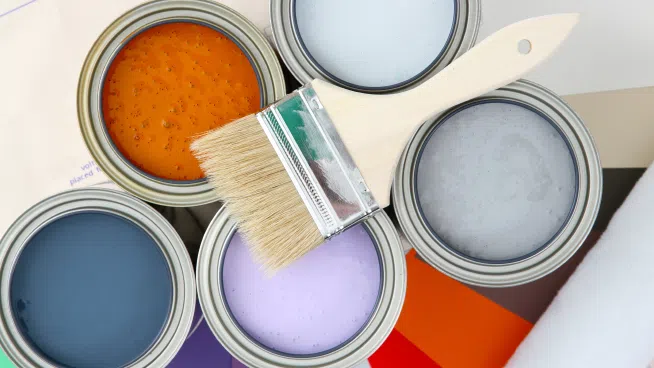 The Inside Outside Guys ~ Painting – Not a DYI Project