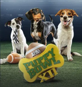 Puppy Bowl XII