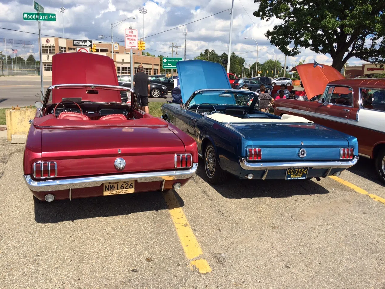 Cruise cars