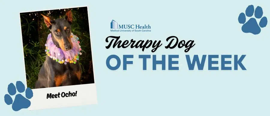 Feature: https://www.magic1073fm.com/musc-therapy-dog-of-the-week/