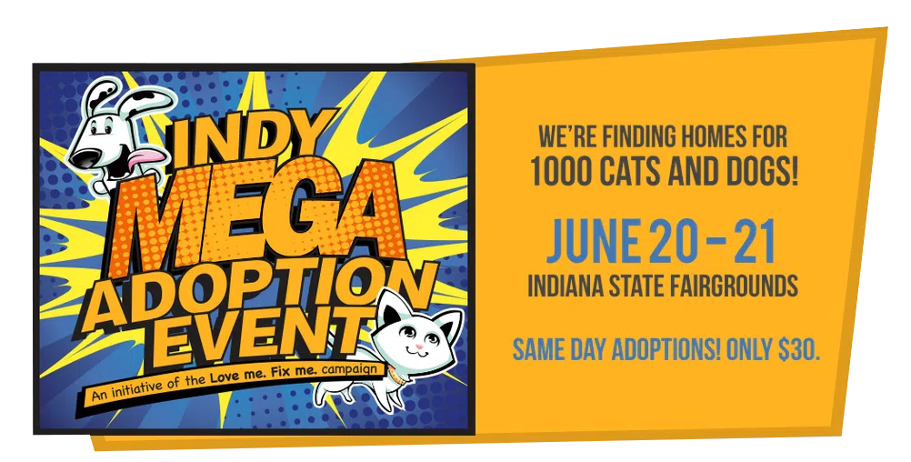 MEGA-ADOPTION