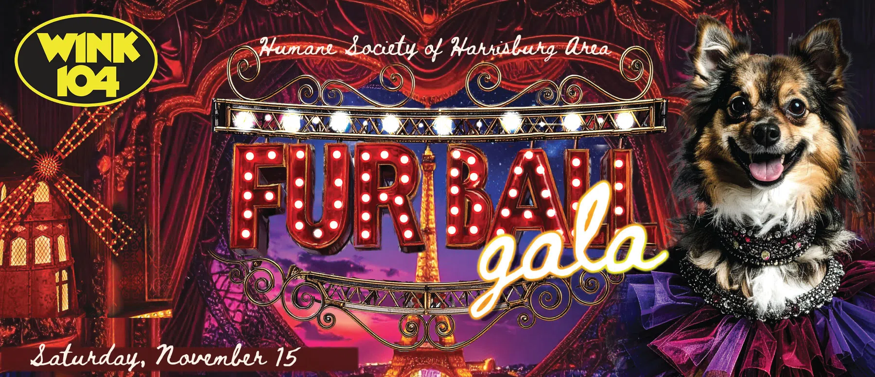 Feature: https://furball.humanesocietyhbg.org/