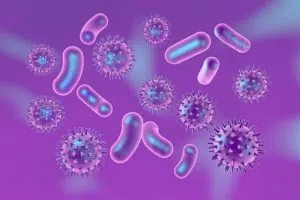 Cold Virus