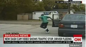 walterscottflees-660