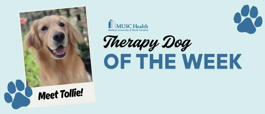 Feature: https://www.95sx.com/2025/04/28/musc-pet-therapy-dog-of-the-week/