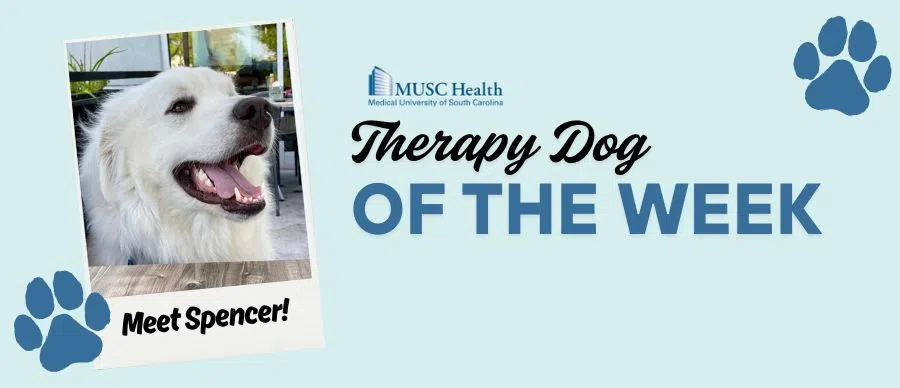 Feature: https://www.95sx.com/musc-therapy-dog-of-the-week/