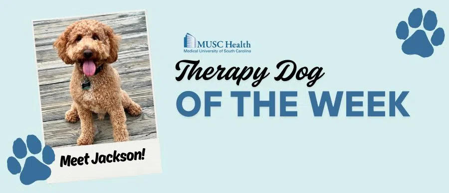 Feature: https://www.95sx.com/musc-therapy-dog-of-the-week/
