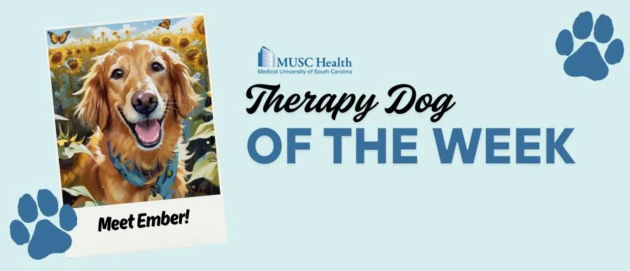 Feature: https://www.95sx.com/musc-therapy-dog-of-the-week/