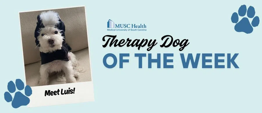 Feature: https://www.95sx.com/musc-therapy-dog-of-the-week/