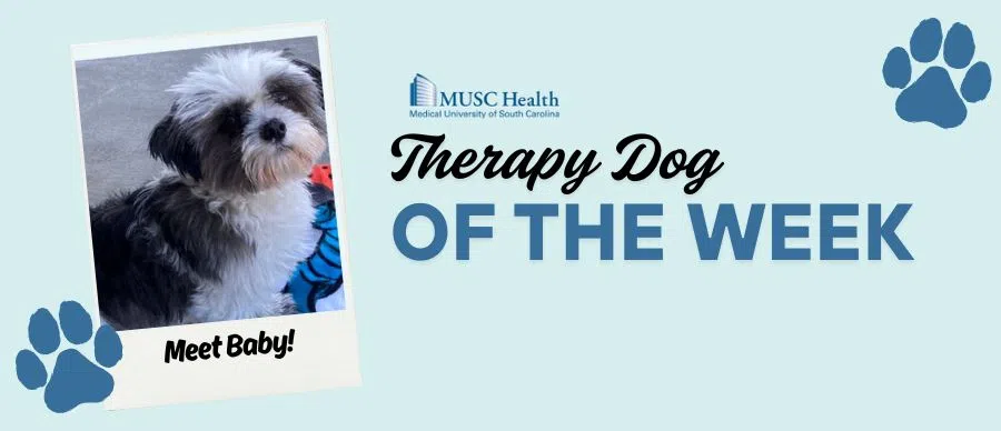 Feature: https://www.95sx.com/musc-therapy-dog-of-the-week/