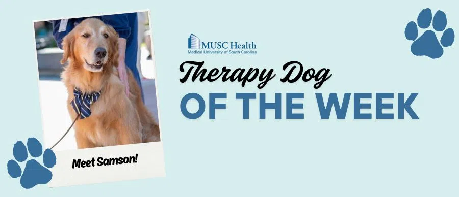 Feature: https://www.95sx.com/musc-therapy-dog-of-the-week/