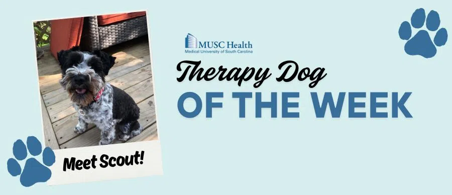 Feature: https://www.wtma.com/musc-therapy-dog-of-the-week/
