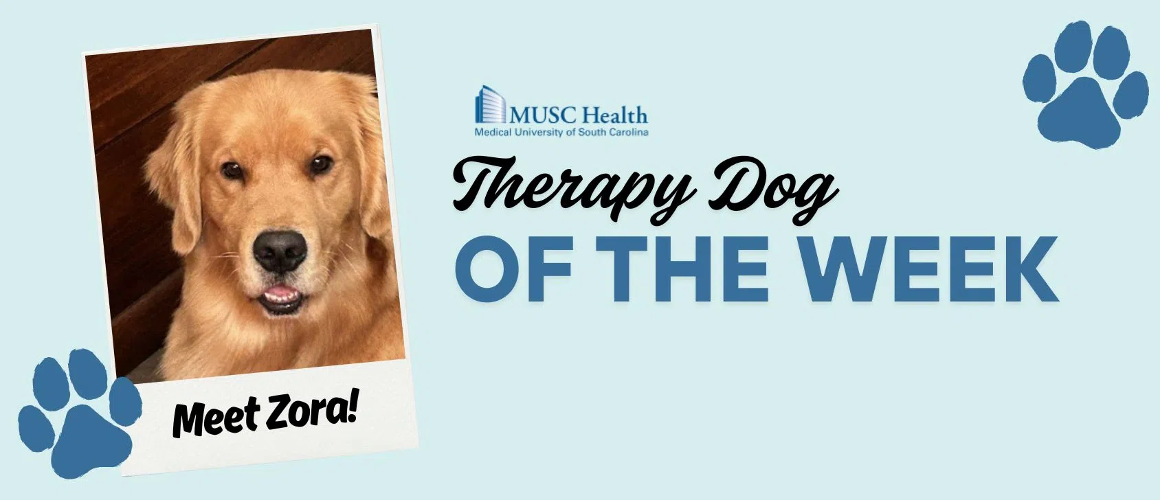 Feature: https://www.wtma.com/musc-therapy-dog-of-the-week/