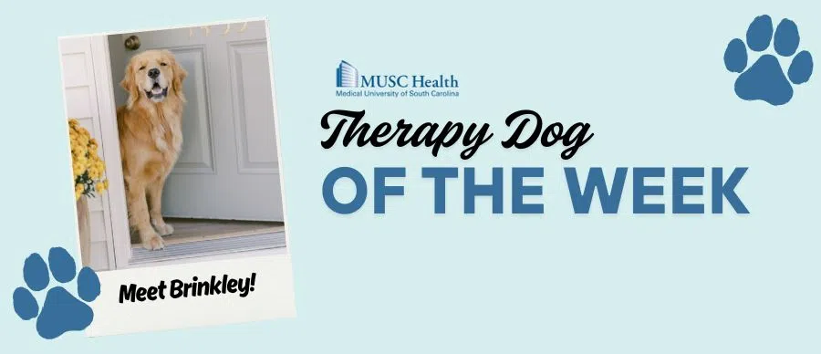 Feature: https://www.wtma.com/musc-therapy-dog-of-the-week/