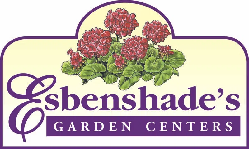 Esbenshades_C_Logo