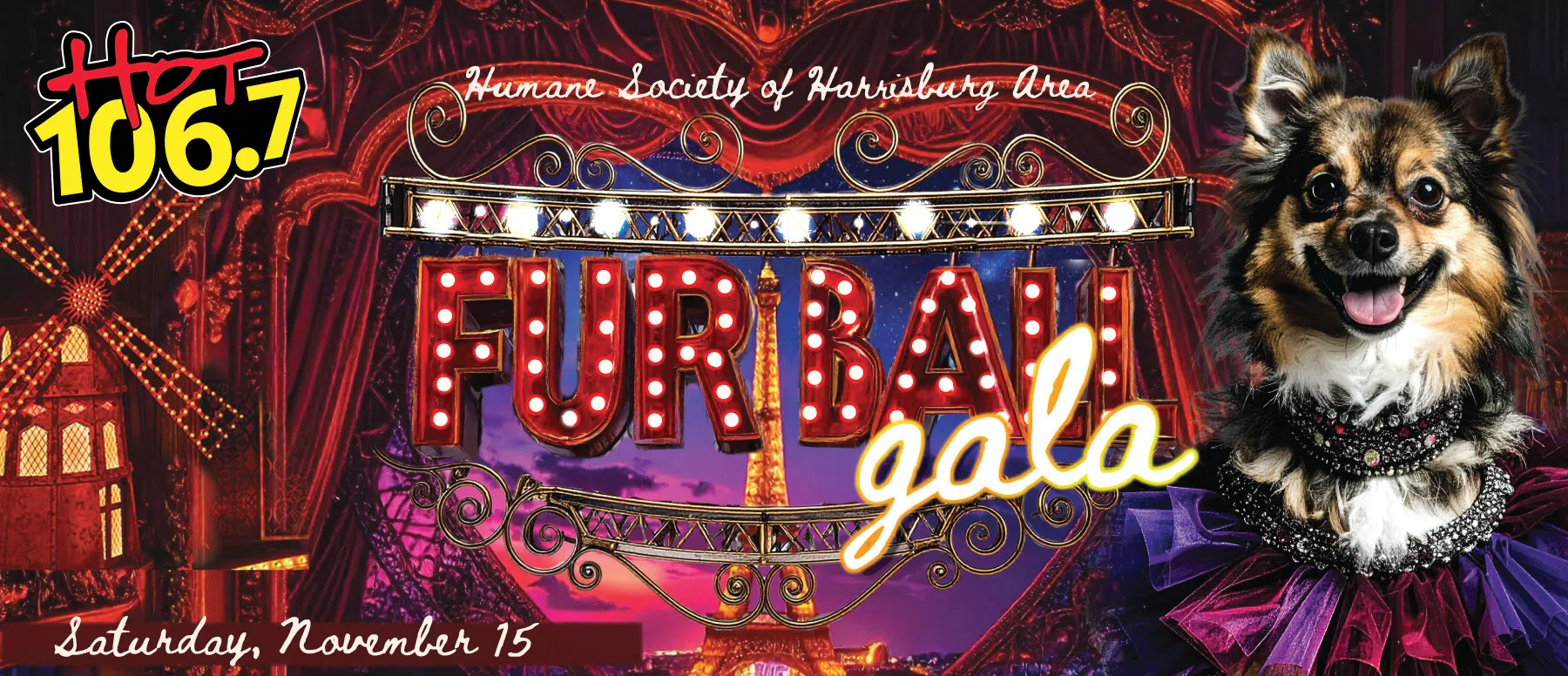 Feature: https://furball.humanesocietyhbg.org/