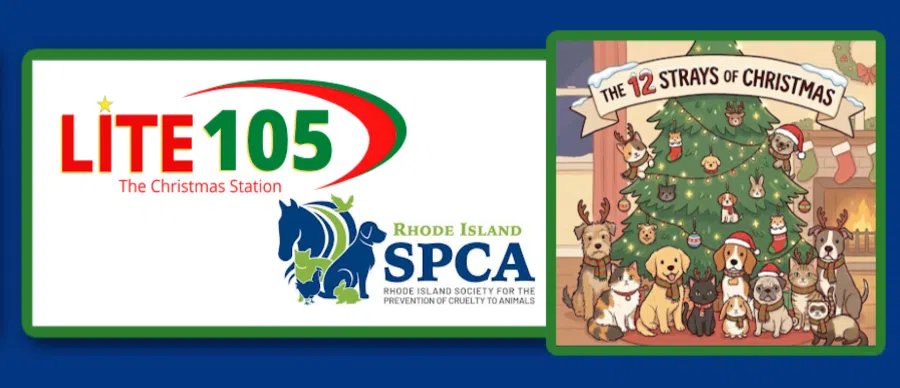 Feature: https://www.lite105.com/2025/12/01/the-12-strays-of-christmas-2025/