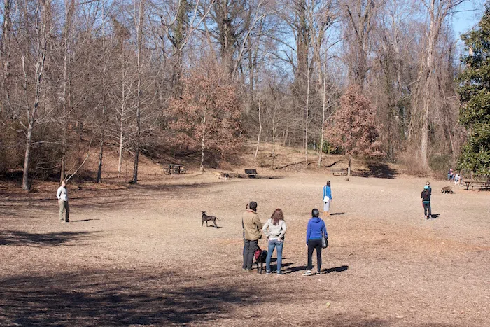 dogpark2014-01