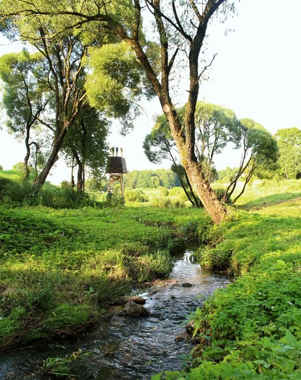 The beautiful scenery surrounding the cabins