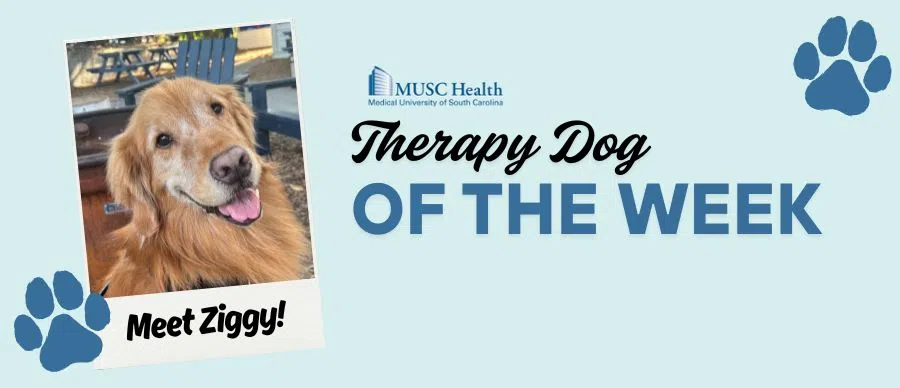 Feature: https://www.95sx.com/2025/04/28/musc-pet-therapy-dog-of-the-week/
