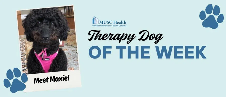 Feature: https://www.z93jamz.com/musc-therapy-dog-of-the-week/