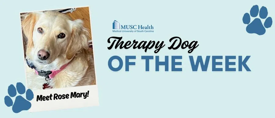 Feature: https://www.z93jamz.com/musc-therapy-dog-of-the-week/
