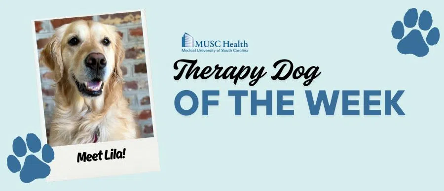 Feature: https://www.z93jamz.com/musc-therapy-dog-of-the-week/